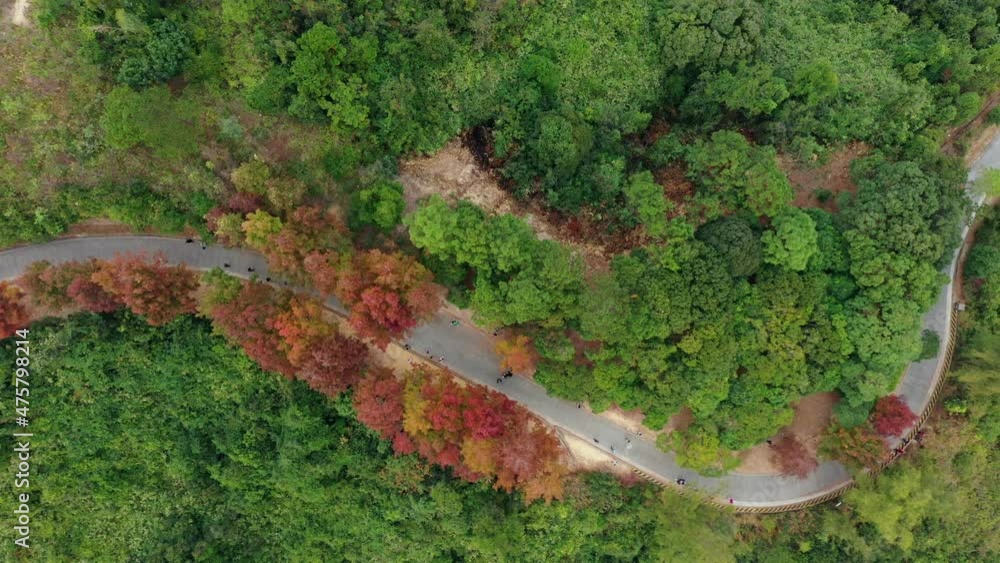 custom made wallpaper toronto digitalTop down view of Mountain hiking trail in Hong Kong