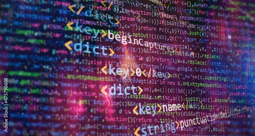 Obraz na plátně Software developer programming code