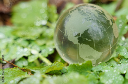 A glass globe lies on the green grass covered with dew.
