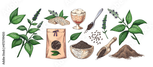Hand drawn chia. Plants and grains. Flowers or leaves. Vegan superfood hand drawn graphic. Diet products. Spoon with seeds and packaging. Healthy desserts. Vector botanical elements set