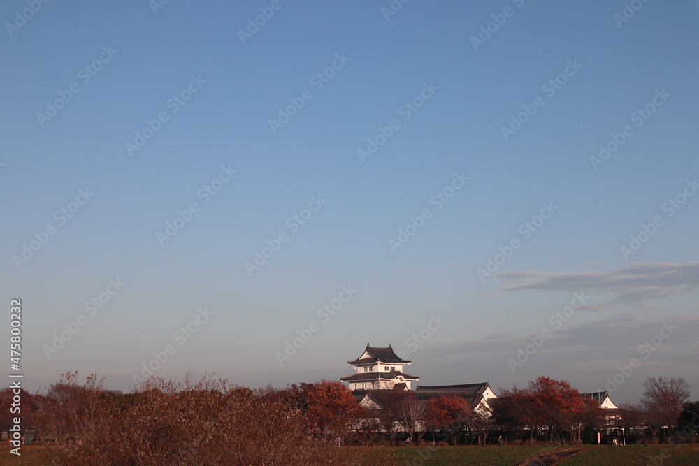 Fototapeta premium 城の遠景