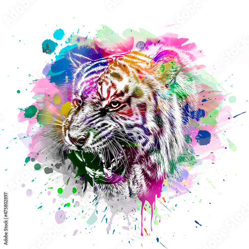 tiger head with creative co...