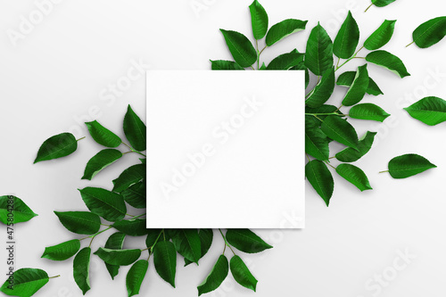 Tree branches with green leaves and empty white square watercolor sheet of paper on a white background. Advertising board, poster mockup for your design. Flat lay, top view, copy space