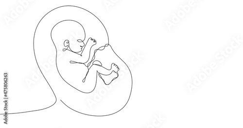 Animated continuous line drawing of baby in womb. Suitable for a prenatal or reproductive clinic, pregnancy brochure, surrogacy agency. 