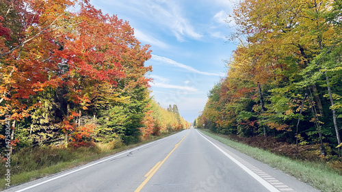 Empty asphalt road lined witht colorful trees in autumn photo