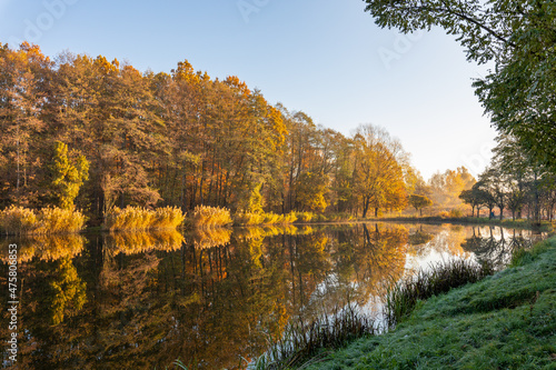 Fototapeta Naklejka Na Ścianę i Meble -  Poland autumn. Public park during autumn season.