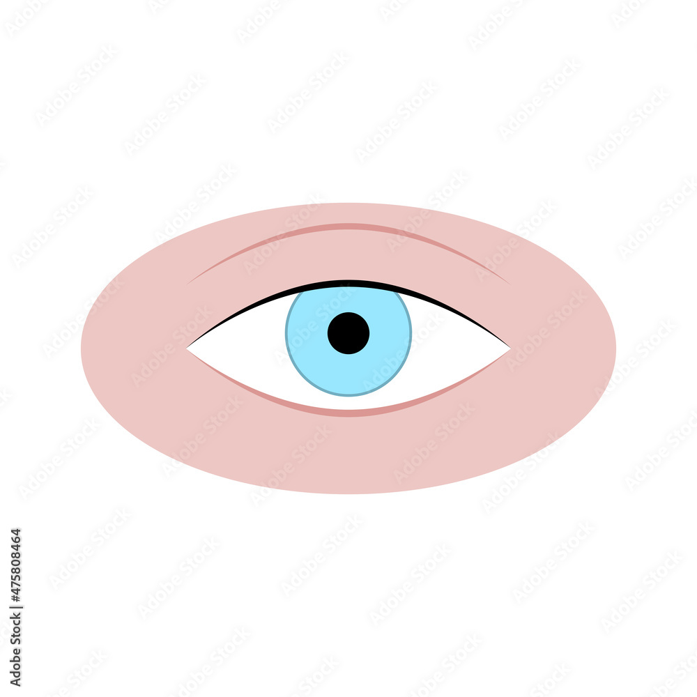 Human eye isolated on white, eye adult attractive Human eye isolated on white, eye adult attractive