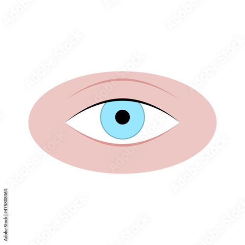 Human eye isolated on white, eye adult attractive