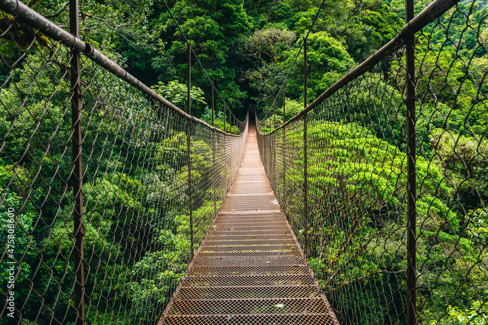 Obraz premium Hanging Bridge Cloud Rainforest Forest in Costa Rica.