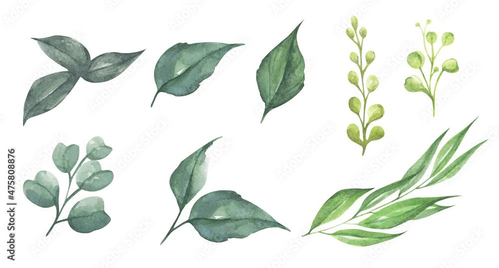 Set watercolor design elements of green leaves. Botanic illustration isolated on white background. Set watercolor design elements of green leaves. Botanic illustration isolated on white background.