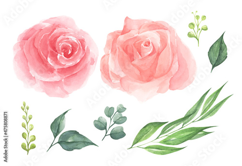Set of rose flower. Wedding concept with flowers. It's perfect for greeting cards, wedding invitation, birthday. Watercolor illustration.