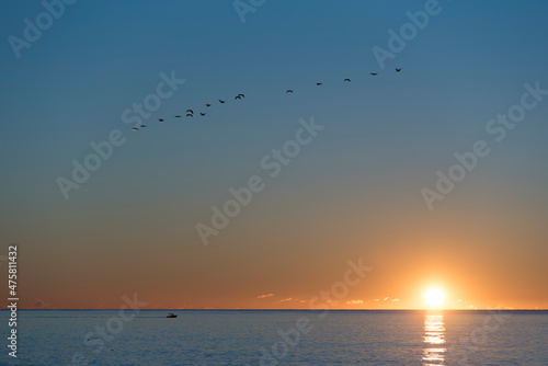 Sunrise over the Mediterranean with birds flying © Roberto