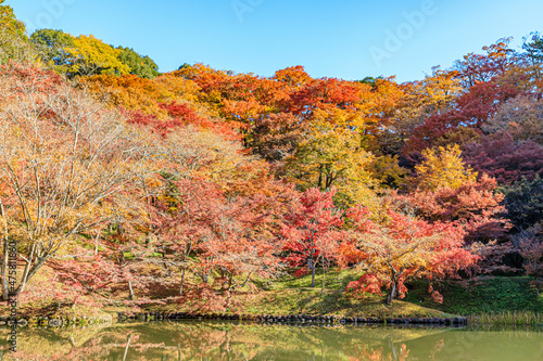 秋の用作公園 大分県豊後大野市 Autumn Yujaku Park. Ooita-ken Bungoono city