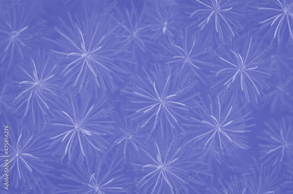 pattern of thin leaves in Very Peri tinted pattern of thin leaves in Very Peri tinted
