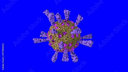 Loopable on Blue Screen: Single rotating coronavirus virion particle isolated on blue screen background. Stylyzed SARS-CoV-2 (COVID-19) coronavirus 3D animation. photo