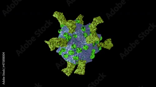 Loopable with Alpha Matte: Single rotating coronavirus virion particle isolated on black background. Stylyzed SARS-CoV-2 (COVID-19) coronavirus 3D animation. photo