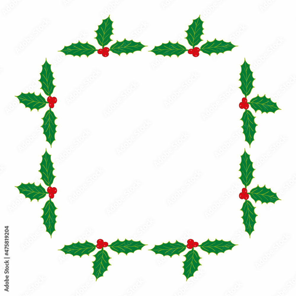 Square frame with holly plant on white background. Vector image. ilex Square frame with holly plant on white background. Vector image. ilex