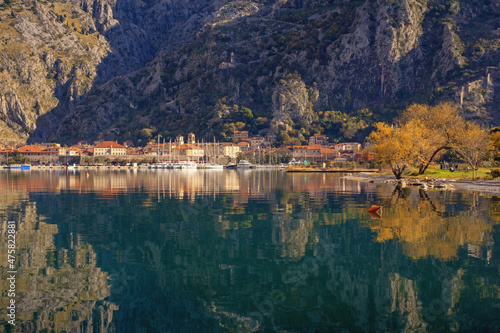 Beautiful winter Mediterranean landscape. Montenegro, view of Kotor Bay near Old Town of Kotor. Mountains, Old Town and yellow trees are reflected in water