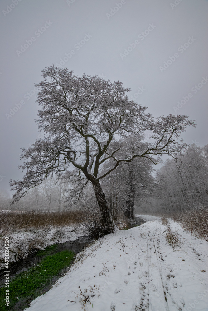 river in winter path (Brandenburg, Germany) river in winter path (Brandenburg, Germany)
