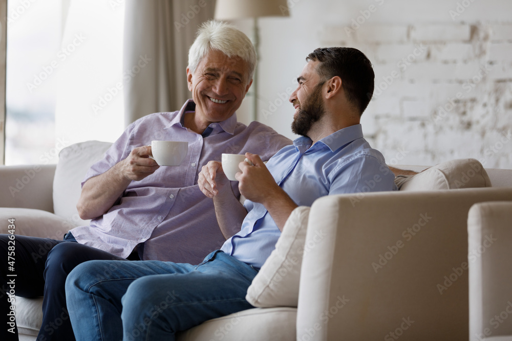Happy middle aged mature retired man talking with handsome young grownup son, holding cups with tea or coffee, enjoying pleasant carefree conversation, sharing life news, resting on cozy sofa at home. Happy middle aged mature retired man talking with handsome young grownup son, holding cups with tea or coffee, enjoying pleasant carefree conversation, sharing life news, resting on cozy sofa at home.
