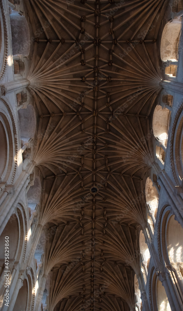 the ceiling of a cathedral