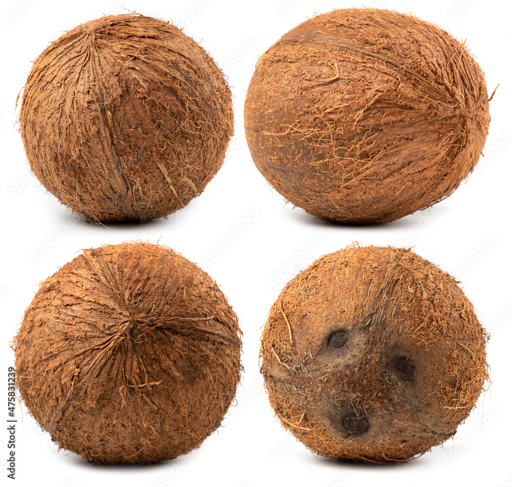 Set coconuts isolated on white background. Collection Set coconuts isolated on white background. Collection