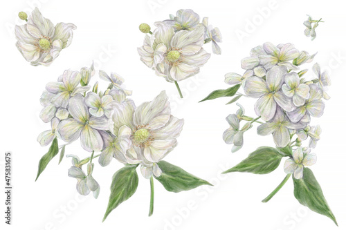 Vintage Set of realistic watercolor tender bouquets of flowers - isolated on white. For your own design and print. © Ira Tiigra