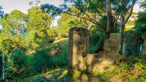 ruined house in the woods