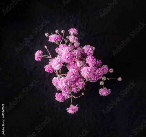 Beautiful flower on a black background. Decorative flowers.