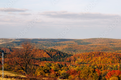 autumn landscape in the mountains © Sławomir Bodnar