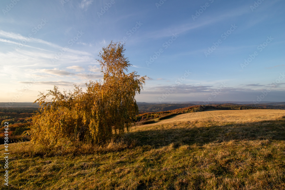 autumn landscape with trees and blue sky autumn landscape with trees and blue sky