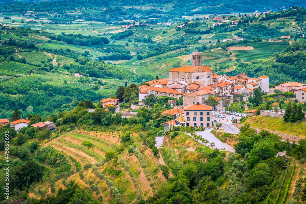 Scenic view on a small town on a hill in the midst of valley of numerous wineyards, Goriska Brda, Slovenia - obrazy, fototapety, plakaty 