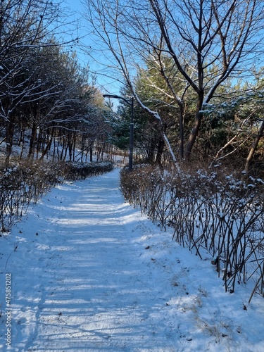 snowy park in YangChon
