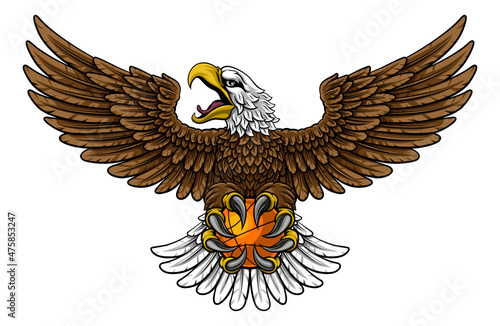 Bald Eagle Hawk Flying Bask...