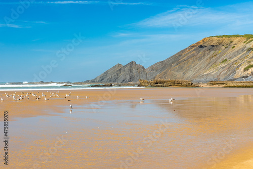 Amoreira Beach near Aljezur. Low season in Algarve  Portugal. Ichthyaetus audouinii or Audouin s Gull birds.