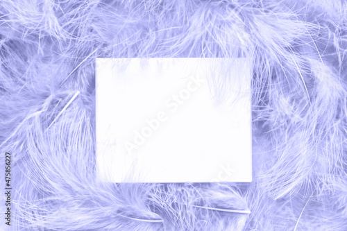color of the Year 2022. Trendy gradient colors palette. feather texture background