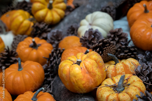 Pumpkins background. suitable for thanksgiving  christmas  halloween themes