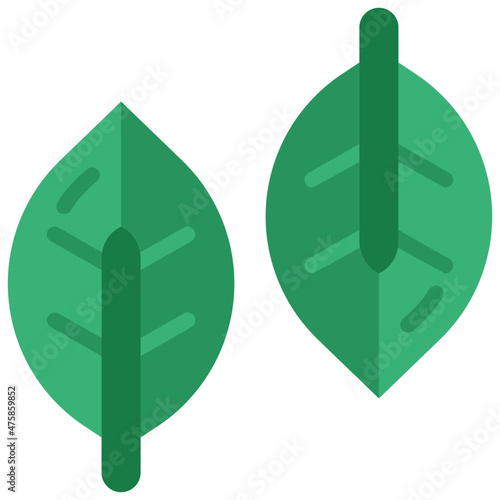 basil flat icon