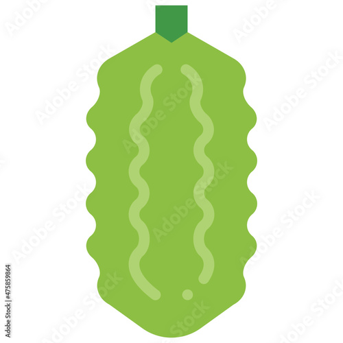 bitter gourd flat icon
