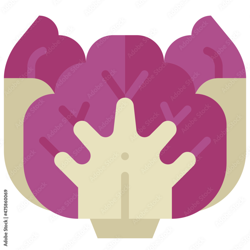 Obraz premium radicchio flat icon