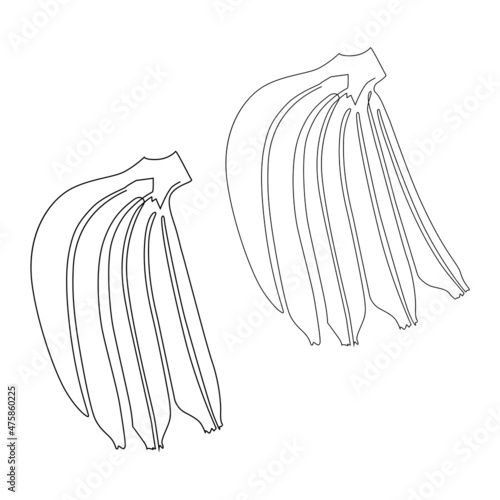 Banana bunch. Ripe bananas. Continuous line drawing illustration.