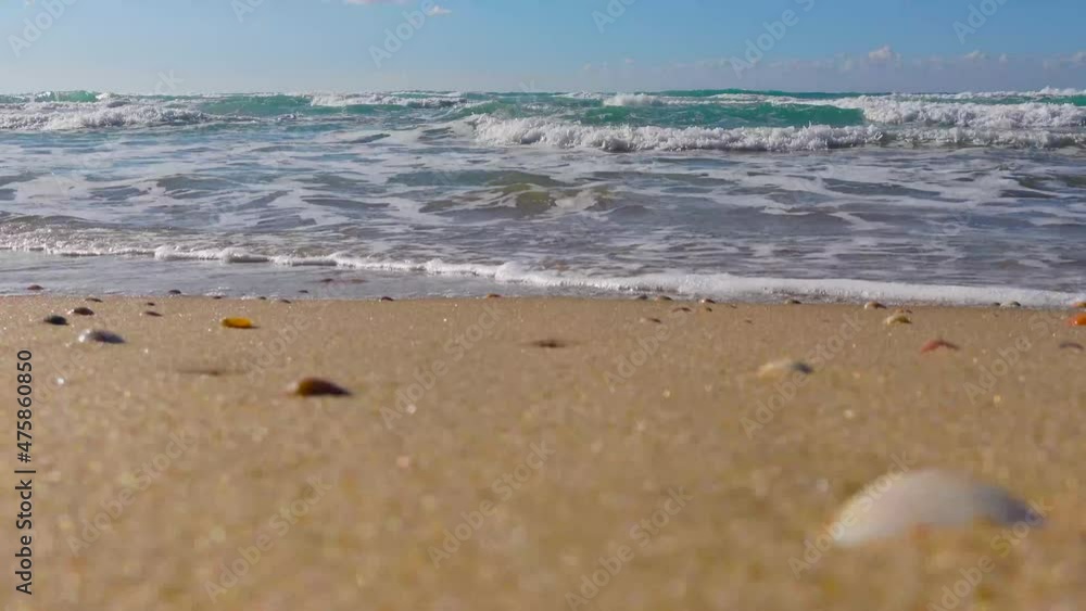 Beautiful blue water waves surface with sun dust, background with copy space. Close up of waving water surface on the ocean, sea with seashells. Beautiful blue water waves surface with sun dust, background with copy space. Close up of waving water surface on the ocean, sea with seashells.