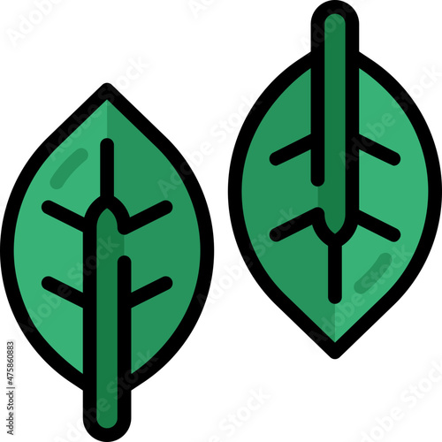 basil filled outline icon