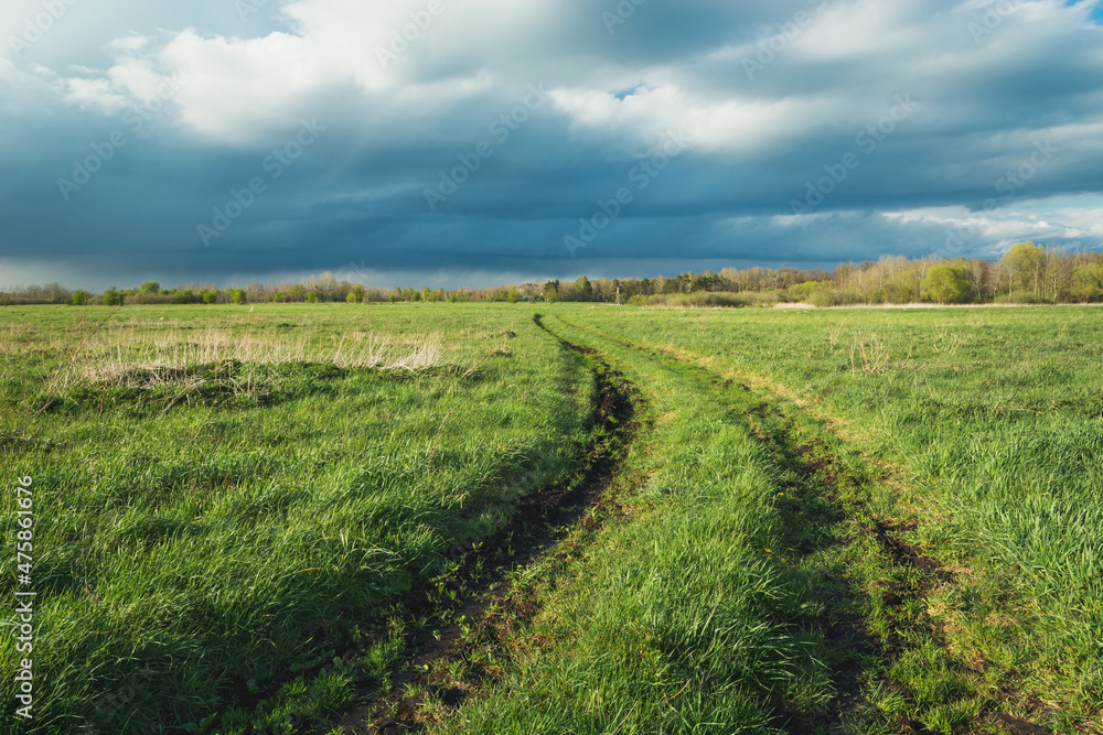 Road through a green meadow and cloudy sky Road through a green meadow and cloudy sky