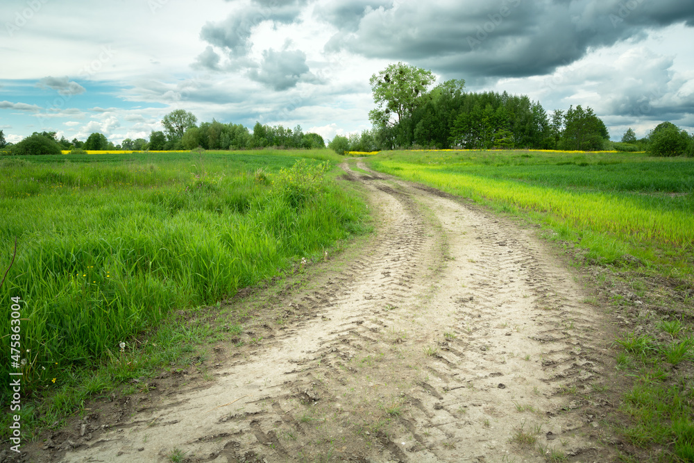 Dirt road in green fields and cloudy sky