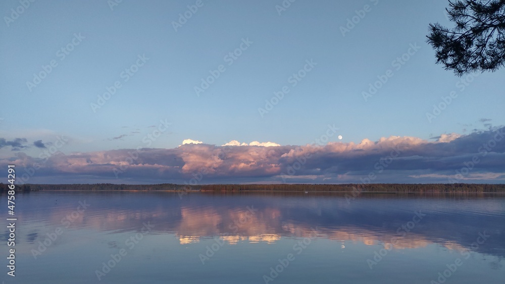 Fototapeta premium There are ripples on the water of the lake. Evening is coming. On the far shore the forest and over it the moon has risen and clouds have accumulated. A pine branch is leaning over the water