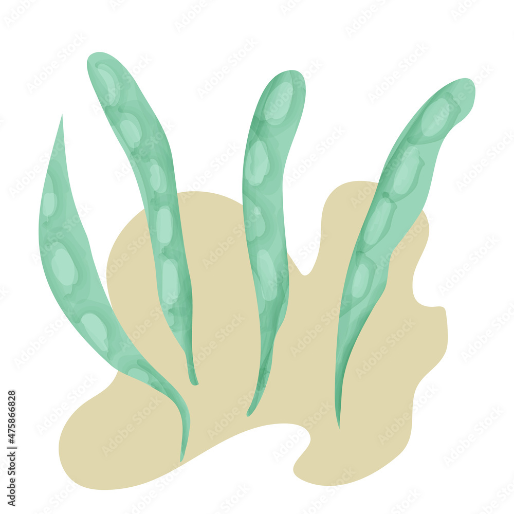 Peas drawing on the background, hand-drawn, vector graphics. Template for your design. Peas drawing on the background, hand-drawn, vector graphics. Template for your design.