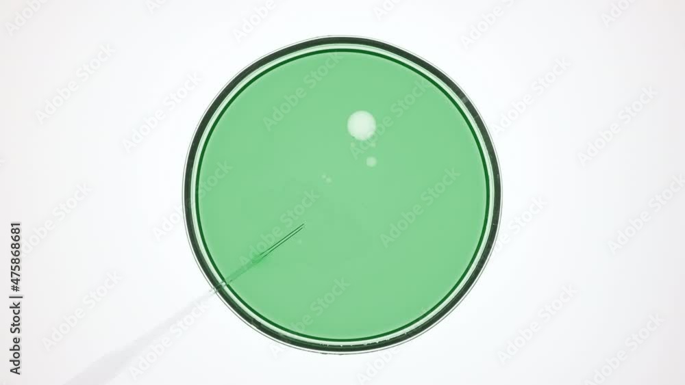 Top view macro shot of lab dropper injects transparent oil into green liquid in petri dish creating bubbles on white background | Abstract skincare products formulation concept Top view macro shot of lab dropper injects transparent oil into green liquid in petri dish creating bubbles on white background | Abstract skincare products formulation concept