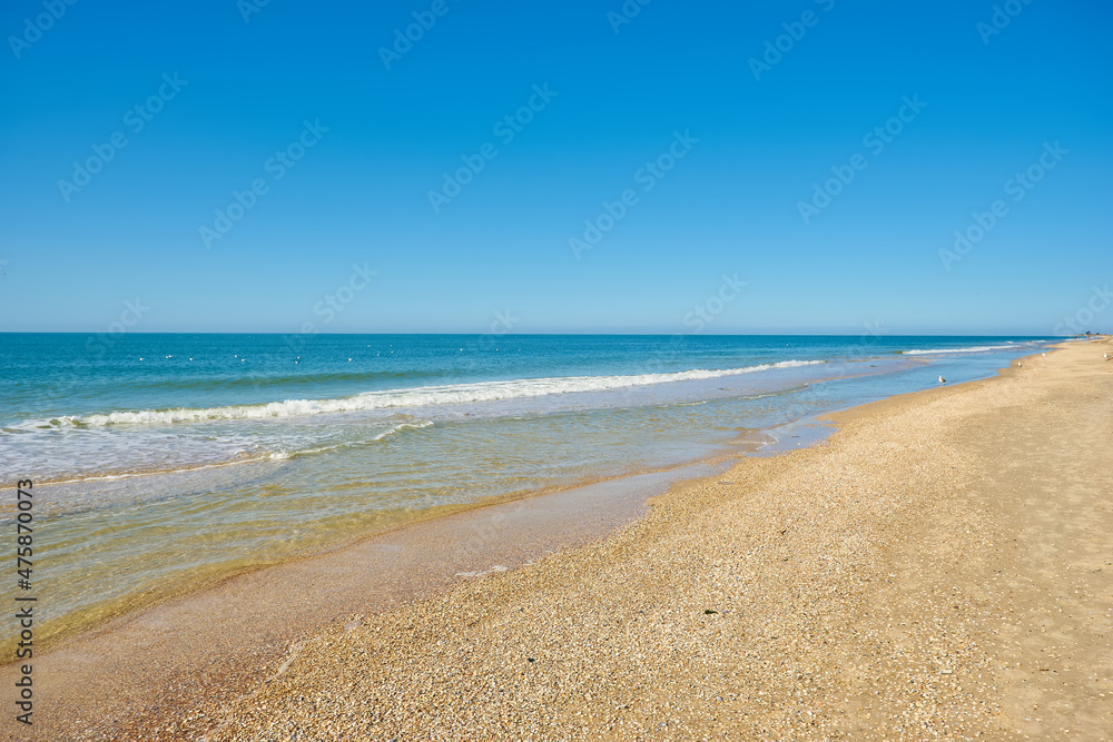 Jellyfish at the beach. Washed up brown compass jellyfish at the sand. Clear pattern. Jellyfish at the beach. Washed up brown compass jellyfish at the sand. Clear pattern.