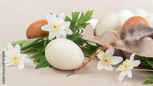 Easter eggs and spring flowers of forest anemone. Organic chicken eggs in packaging with a bird feather on a beige background close-up.